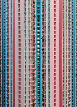 Pretty in Pink and Teal by Bernie Ng - Print